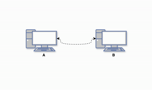 A network of 2 computers connected via ethernet cable.